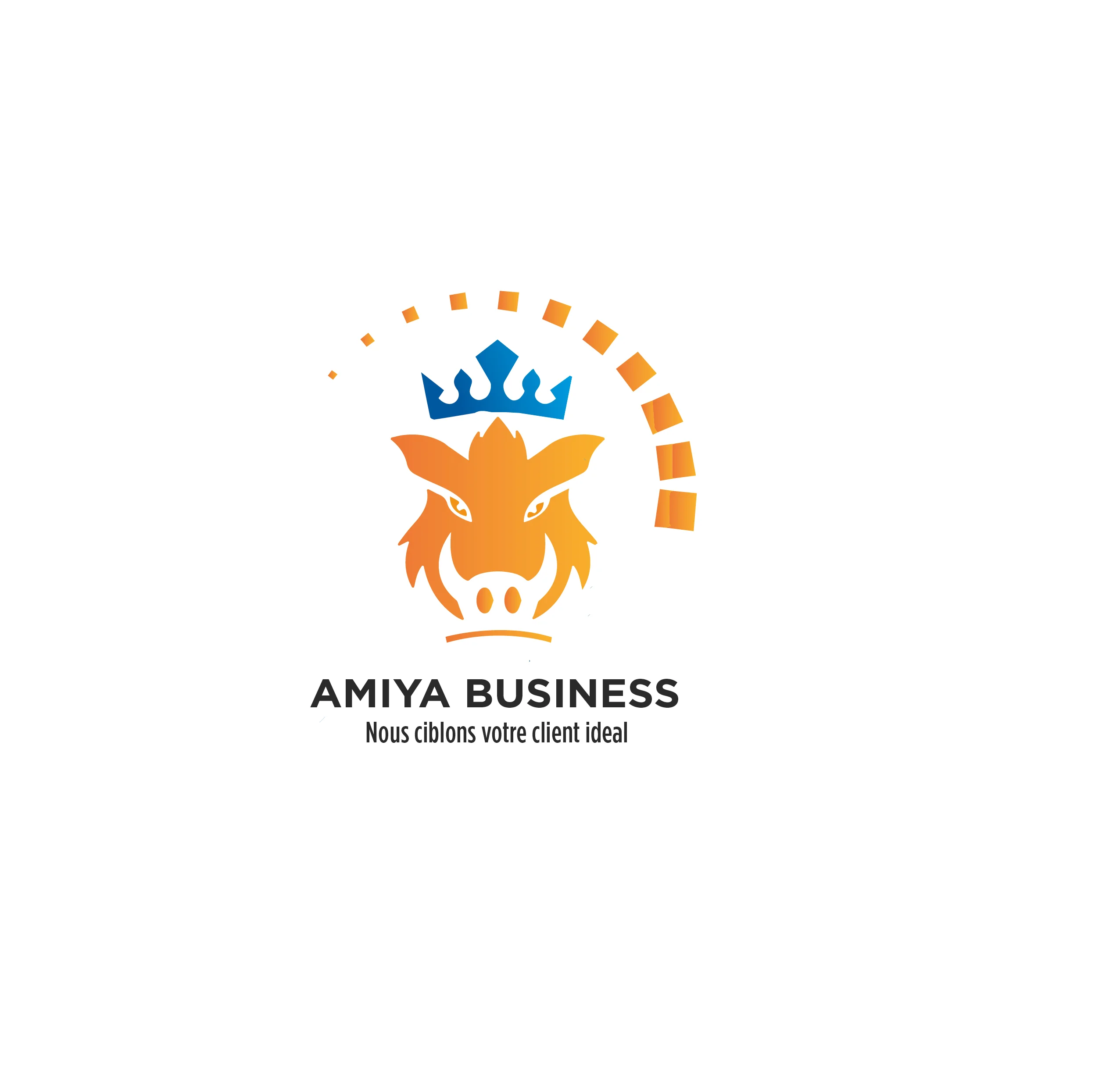 Logo Amiya Business, partenaire de Leano Studio au Niger